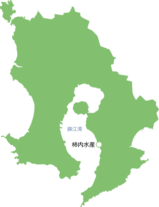 錦江湾